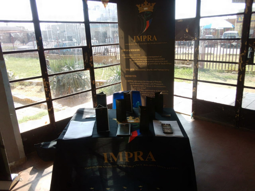 Clap n Tap Festival (7)